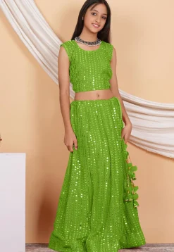 Embroidered Georgette Crop Top Set in Parrot Green