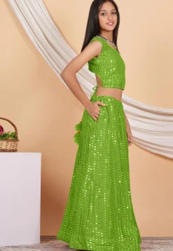 Embroidered Georgette Crop Top Set in Parrot Green
