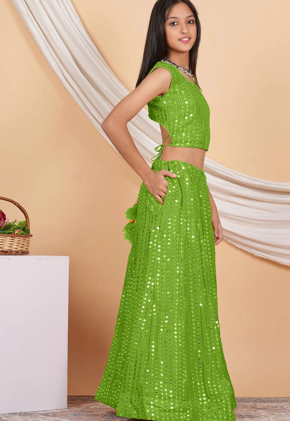 Embroidered Georgette Crop Top Set in Parrot Green