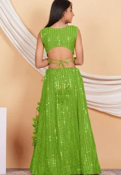 Embroidered Georgette Crop Top Set in Parrot Green