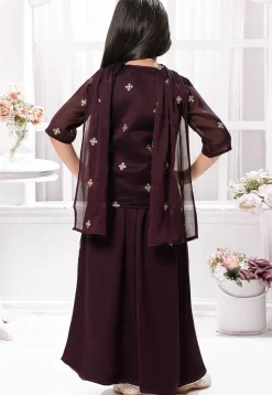 Embroidered Georgette Crop Top Set in Wine