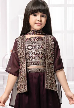 Embroidered Georgette Crop Top Set in Wine