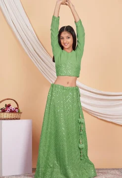 Embroidered Georgette Crop Top Set in Light Green