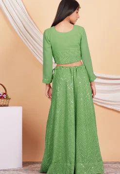 Embroidered Georgette Crop Top Set in Light Green