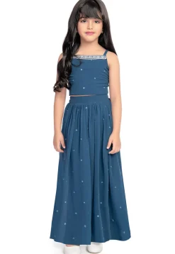Embroidered Georgette Crop Top Set in Blue
