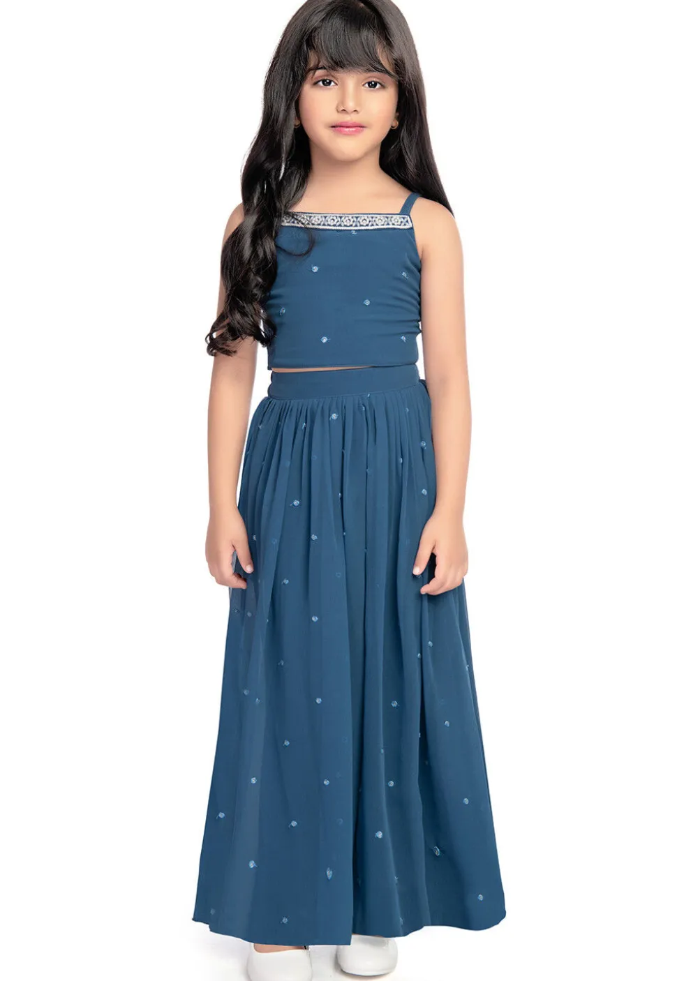 Embroidered Georgette Crop Top Set in Blue