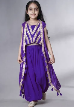 Embroidered Georgette Crop Top Set in Purple