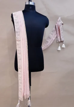 Embroidered Georgette Dupatta in Baby Pink