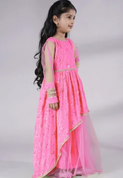 Embroidered Georgette Gown in Baby Pink
