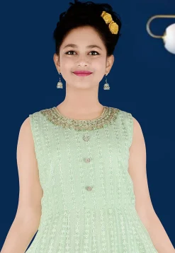 Embroidered Georgette Gown in Light Green