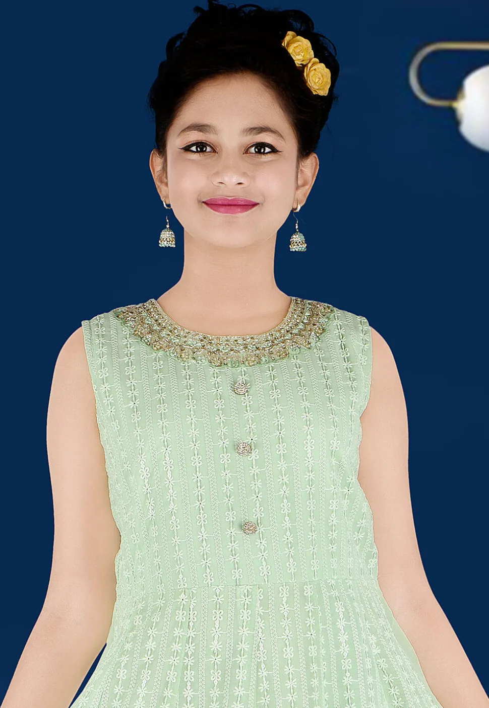 Embroidered Georgette Gown in Light Green