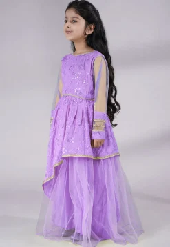 Embroidered Georgette Gown in Light Purple