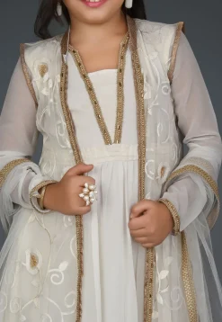 Embroidered Georgette Gown in Off White