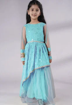 Embroidered Georgette Gown in Sky Blue