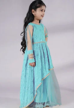 Embroidered Georgette Gown in Sky Blue