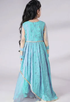 Embroidered Georgette Gown in Sky Blue