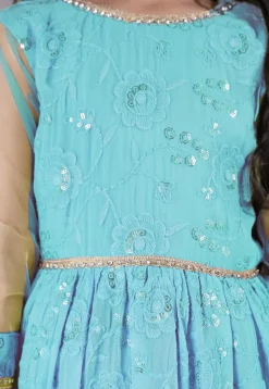 Embroidered Georgette Gown in Sky Blue
