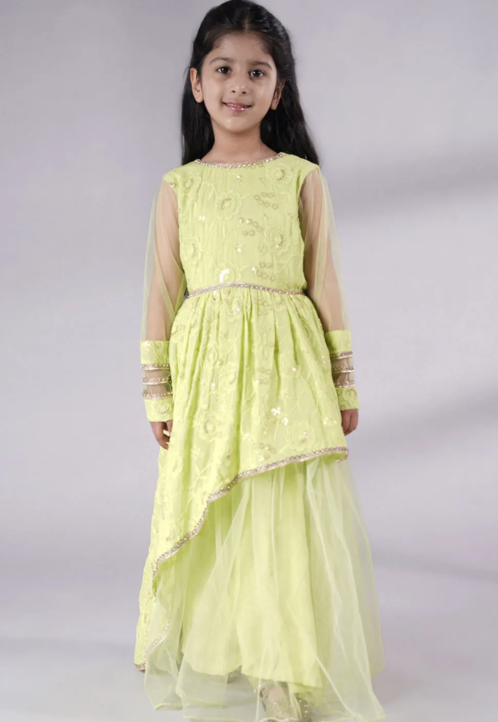 Embroidered Georgette Gown in Light Green