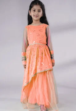 Embroidered Georgette Gown in Peach
