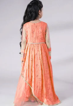 Embroidered Georgette Gown in Peach