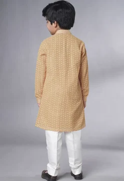 Embroidered Georgette Kurta Set in Beige