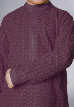 Embroidered Georgette Kurta Set in Wine