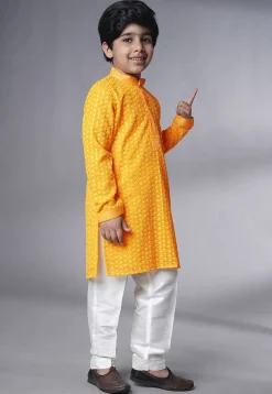 Embroidered Georgette Kurta Set in Mustard