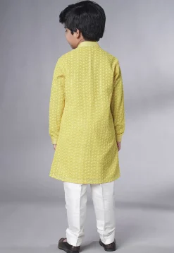 Embroidered Georgette Kurta Set in Olive Green