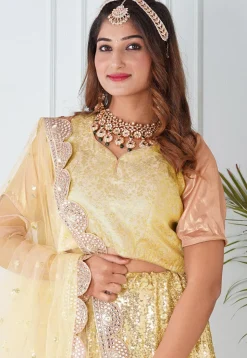 Embroidered Georgette Lehenga in Light Yellow