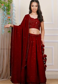 Embroidered Georgette Lehenga in Maroon