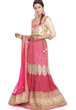 Embroidered Georgette Lehenga in Pink