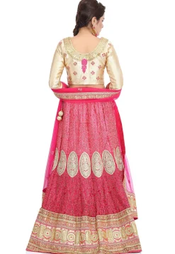 Embroidered Georgette Lehenga in Pink