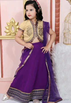 Embroidered Georgette Lehenga in Purple