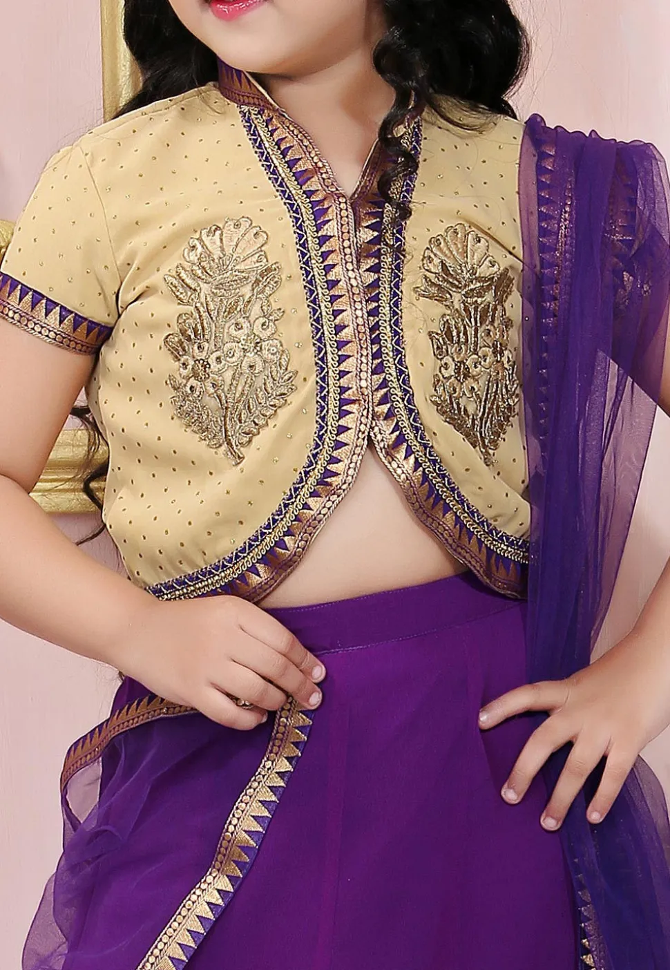 Embroidered Georgette Lehenga in Purple