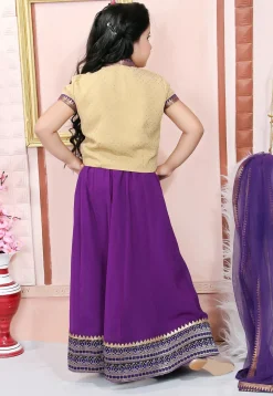 Embroidered Georgette Lehenga in Purple