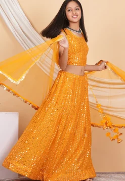Embroidered Georgette Lehenga in Orange
