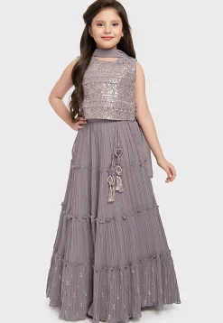 Embroidered Georgette Lehenga in Grey