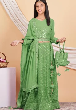 Embroidered Georgette Lehenga in Light Green