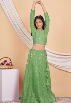 Embroidered Georgette Lehenga in Light Green