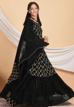 Embroidered Georgette Lehenga in Black