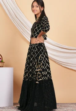 Embroidered Georgette Lehenga in Black