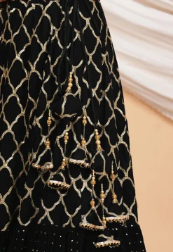 Embroidered Georgette Lehenga in Black