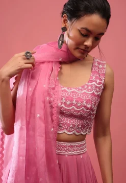 Embroidered Georgette Lehenga in Pink