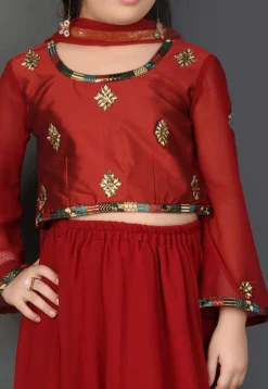 Embroidered Georgette Lehenga in Maroon