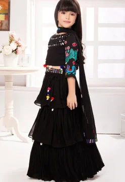 Embroidered Georgette Lehenga in Black