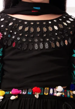 Embroidered Georgette Lehenga in Black