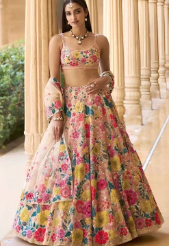 Embroidered Georgette Lehenga in Beige