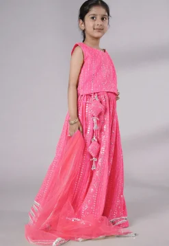 Embroidered Georgette Lehenga in Pink