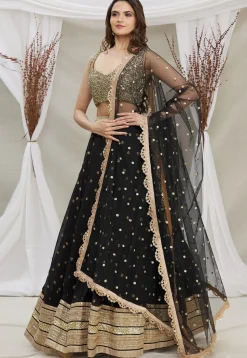 Embroidered Georgette Lehenga in Black