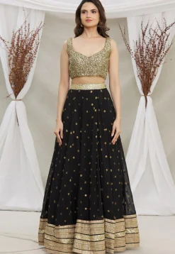 Embroidered Georgette Lehenga in Black